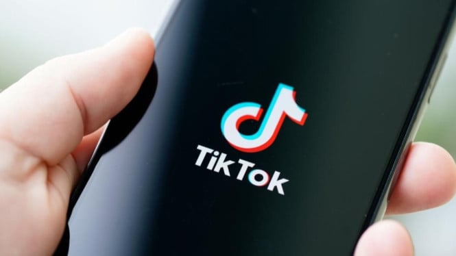 Followers TikTok