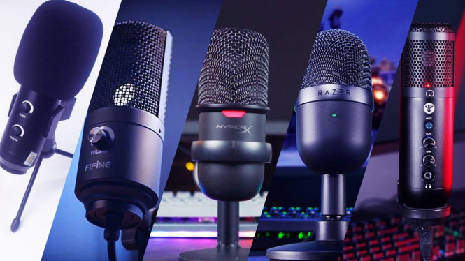 Microphone streaming
