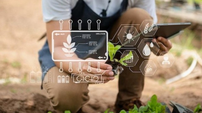 Ilustrasi Agrikultur