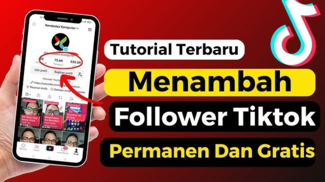Followers TikTok Gratis