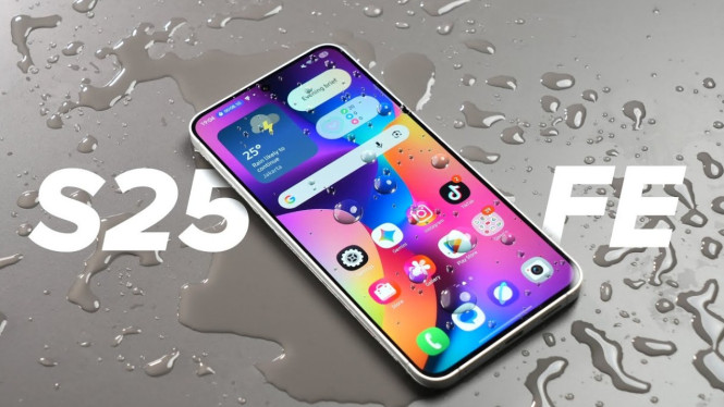 Samsung Galaxy S25 FE