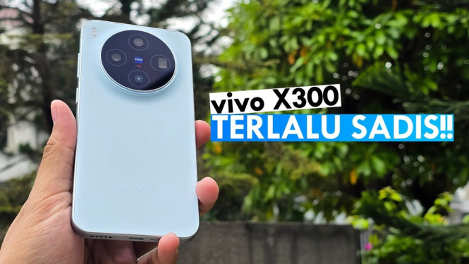Vivo X300