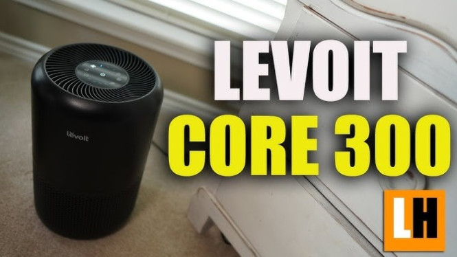 Levoit Core 300