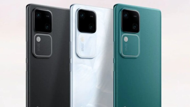 Vivo V30