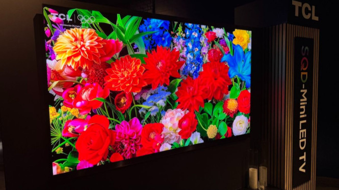 TV Premium TCL X11L