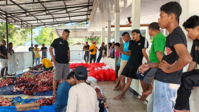 Warga NTT Sambut Antusias Hewan Kurban