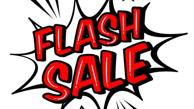 flash sale logo