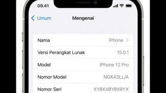 Ini Cara Cek Imei Iphone, Mudah Banget!