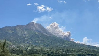 Gunung Merapi Erupsi, Zona Bahaya Capai 7 KM, Ini Lokasi yang Terdampak
