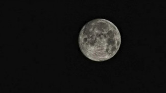 Photo Mini 2