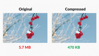 6 Aplikasi Kompres Foto Terbaik di HP dan Laptop, Bisa Jadi 100KB