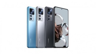 Photo Mini 6