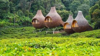 5 Tempat Wisata di Leuwiliang Bogor yang Wajib Dikunjungi