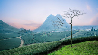 5 Tempat Wisata Hits di Puncak Bogor untuk Liburan Akhir Tahun
