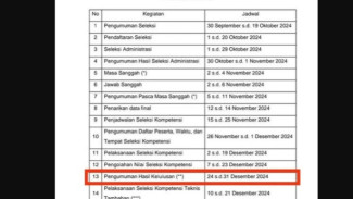 Hasil Pengumuman PPPK 2024 Mulai Bisa Anda Lihat!