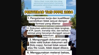 12 Hal yang Bisa Menyebabkan TMS Administrasi PPPK