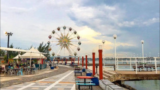 Photo Mini 2