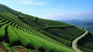 Rekomendasi Tempat Wisata di Majalengka yang Lagi Hits