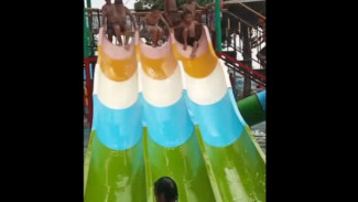 Rekomendasi Wisata Terdekat di Comal Pemalang