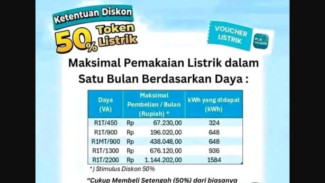 PLN Kasih Diskon Listrik 50 Persen, Ini Cara Dapatkannya