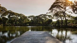 Rekomendasi Tempat Wisata di Pekanbaru yang Lagi Hits