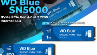 Review SSD WD Blue SN5000 500GB NVMe PCIe Gen 4.0
