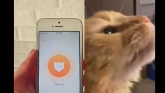 Rekomendasi 9 Aplikasi Keren Android yang Harus Punya