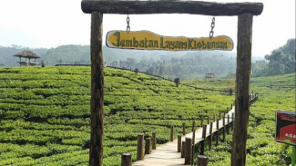 Rekomendasi Tempat Wisata di Jember Terbaru 2025