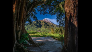 4 Tempat Wisata Unggulan Boyolali untuk Liburan Lebaran 2025