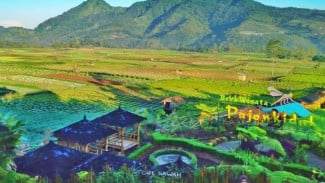7 Tempat Wisata Malam di Malang Paling Hits, Instagrammable dan Populer Viral di TikTok Cocok untuk Libur Lebaran 2025