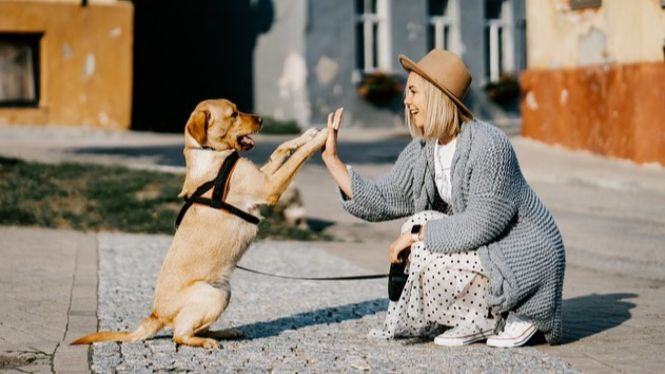 Persahabatan manusia dan anjing.