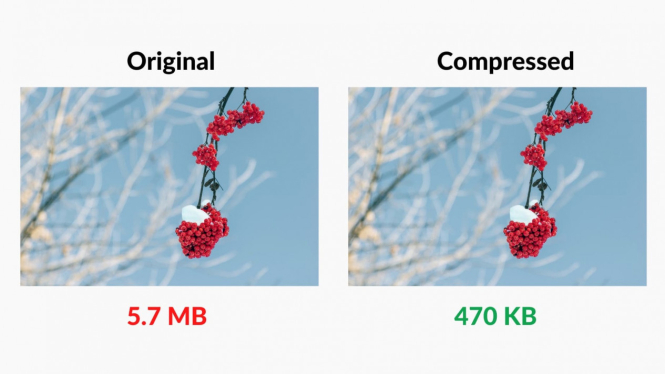 Aplikasi Kompres Foto Terbaik 2024, Bisa Sampai 100KB