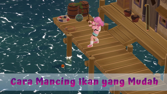 Cara Mancing Ikan di Harvest Moon: Home Sweet Home yang Cepat