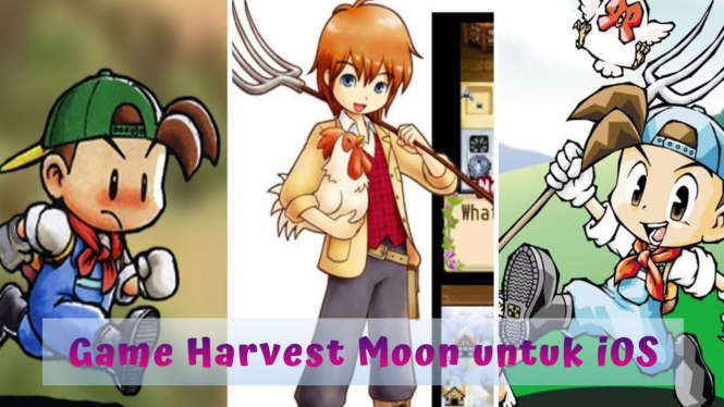 Deretan Game Harvest Moon untuk iOS, Ada Harvest Moon: Home Sweet Home