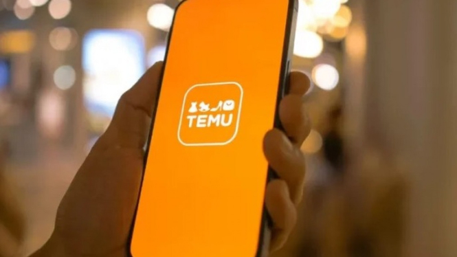 Aplikasi TEMU.