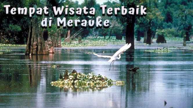 Tempat Wisata Terbaik di Merauke