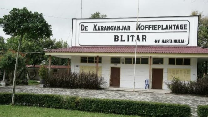 De Karanganjar Koffieplantage Blitar