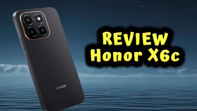 Review Honor X6c