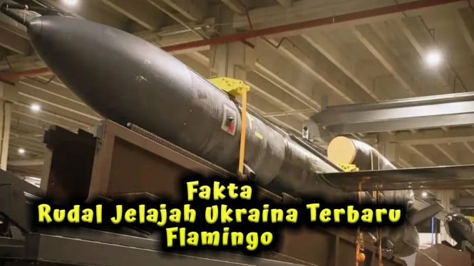 Fakta Rudal Jelajah Ukraina Flamingo