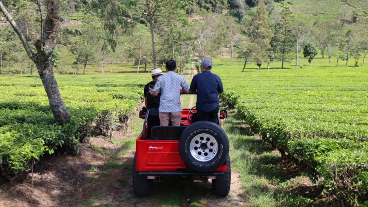 Trip Paket Wisata Keliling Ngadirejo, Temanggung