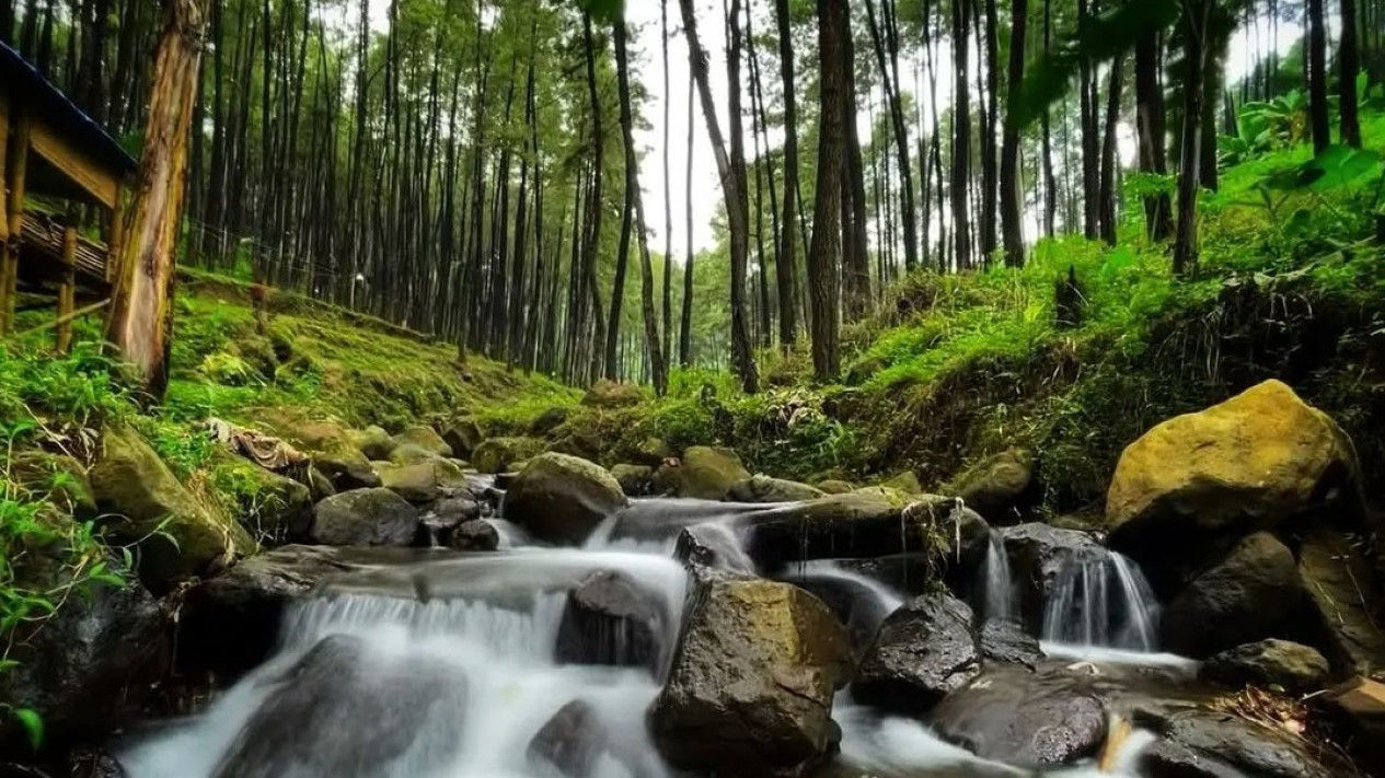 Klurak Ecopark