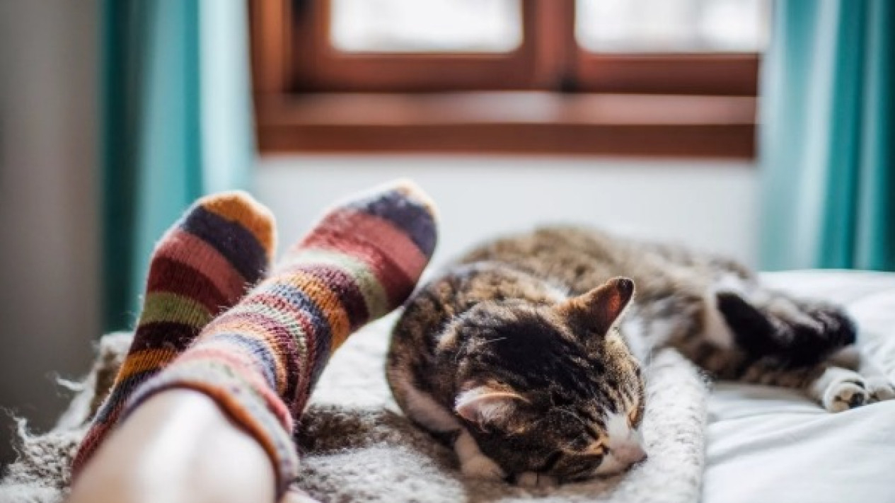 Kucing Pilih Tidur di Kaki