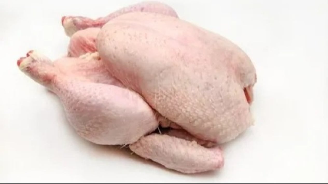 Daging Ayam Segar