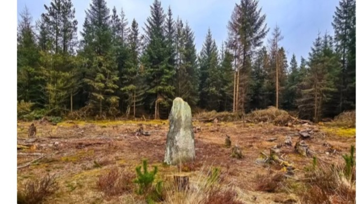 Farley Moor yang Merupakan Awal Ditemukannya Situs Ritual
