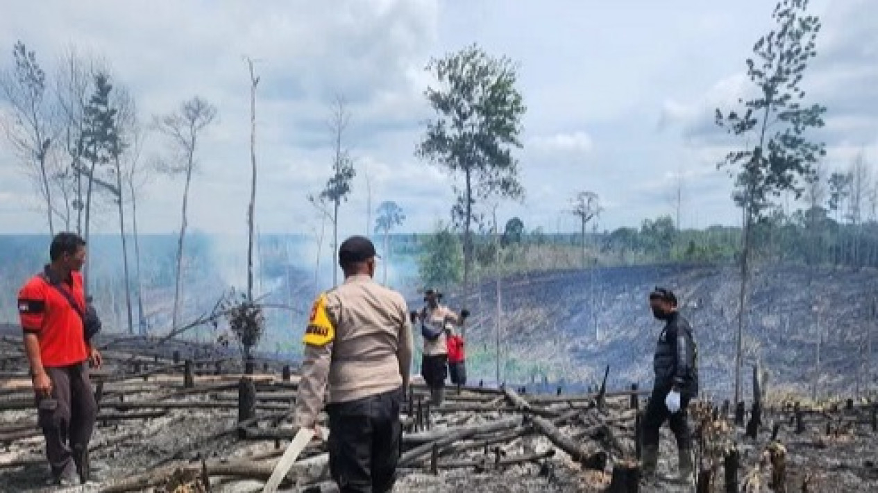 Kebakaran Hutan