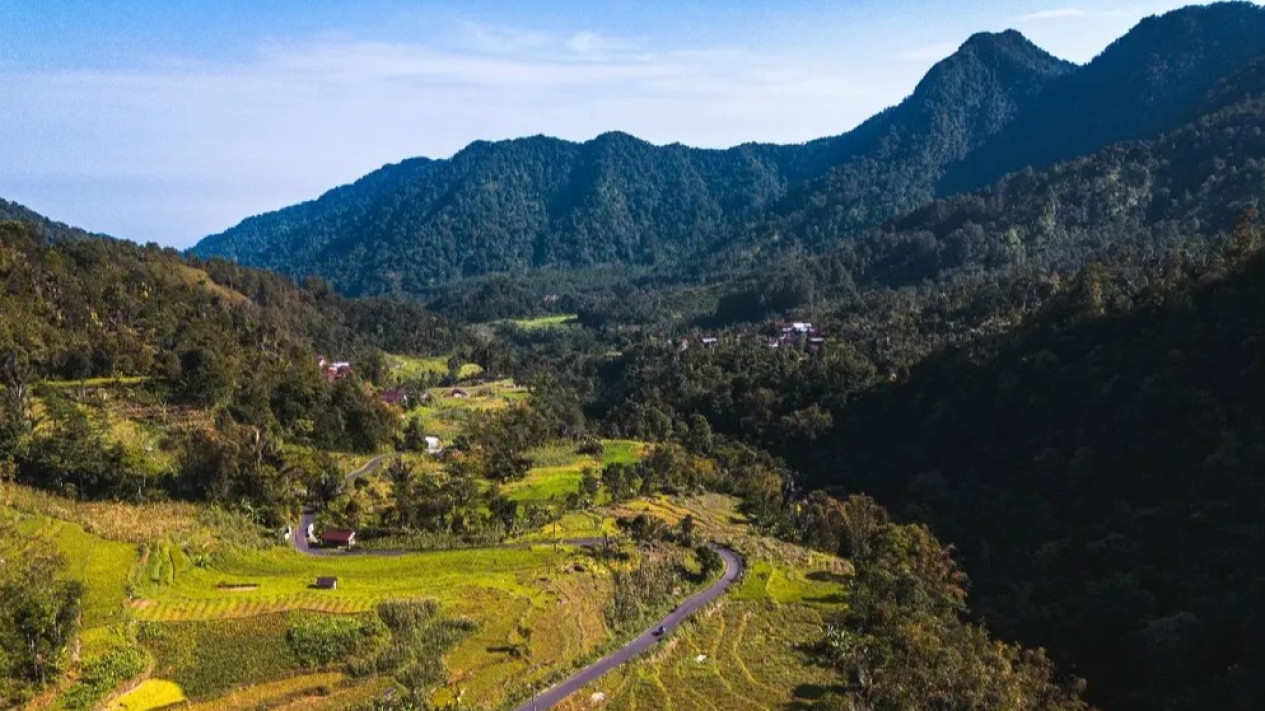 Wisata Petungkriyono