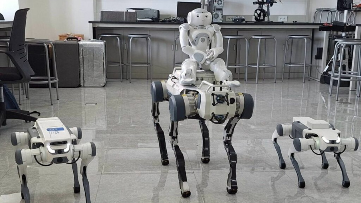 Robot Anjing