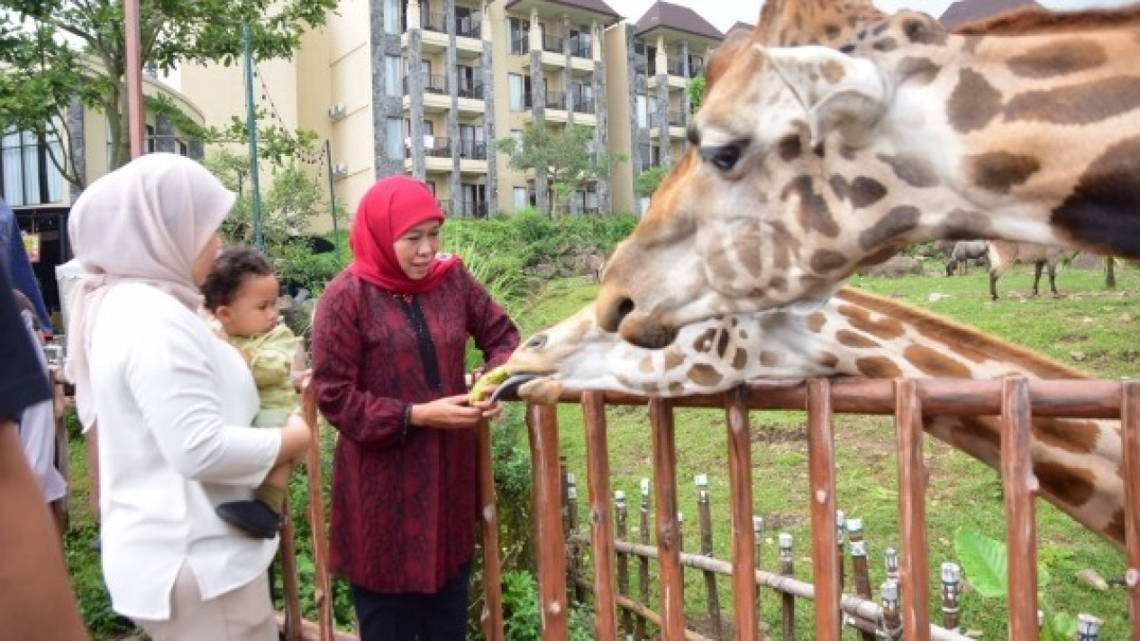 Jawa Timur Jadi Destinasi Terfavorit