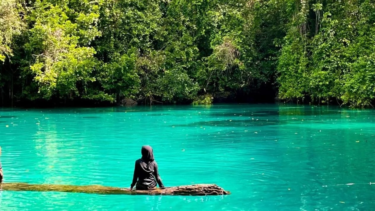Kawasan Konservasi Taman Pesisir Teluk Nusalasi