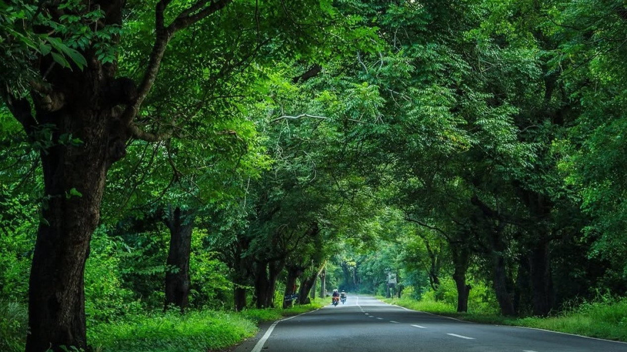Hutan Lindung Cekik